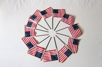 Betsy Ross Flag (small)